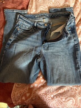 American Eagle Medium Blue Jeans Strigid
